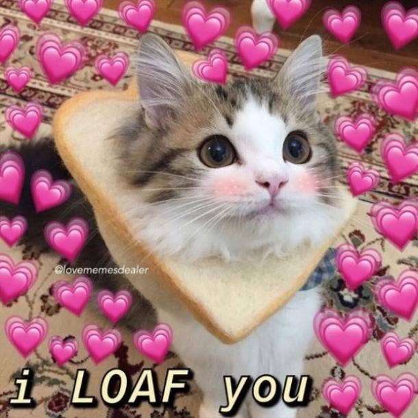 love meme loaf you
