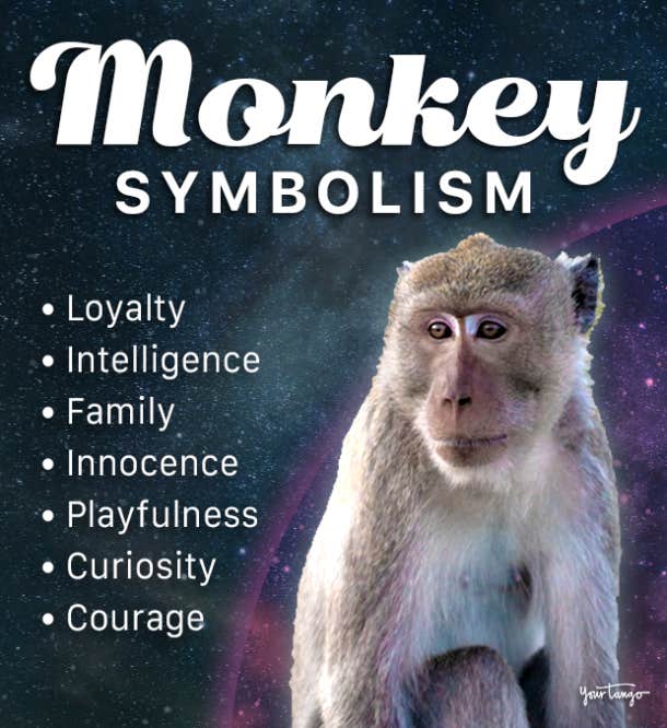 monkey symbolism