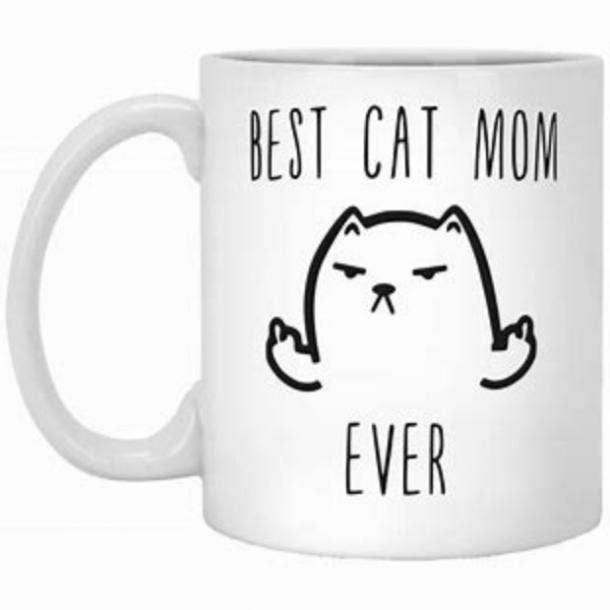 Best Cat Mom Ever' Mug mother's day gift for girlfriend