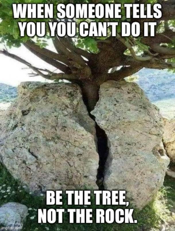 20 Best You Can Do It Memes That Are 100% Encouraging — Steemit