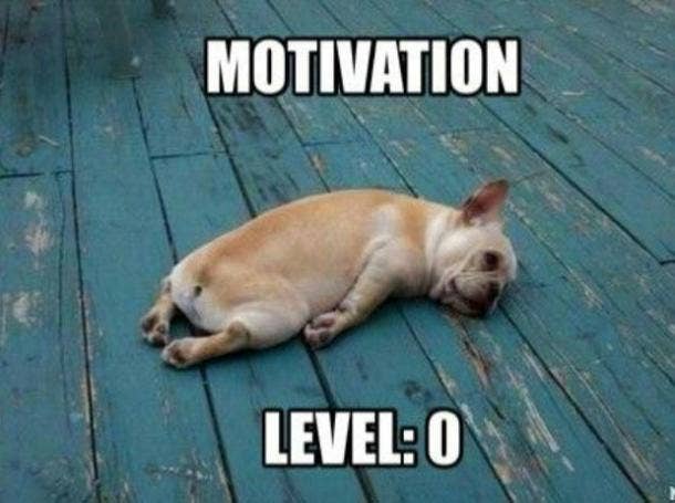 84 Funny Motivational Memes To Inspire You When You Need It Most