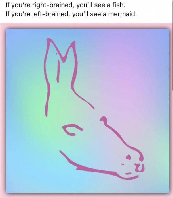 fish or mermaid optical illusion meme