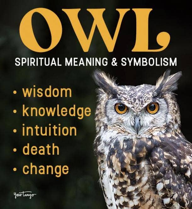 owl symbolism