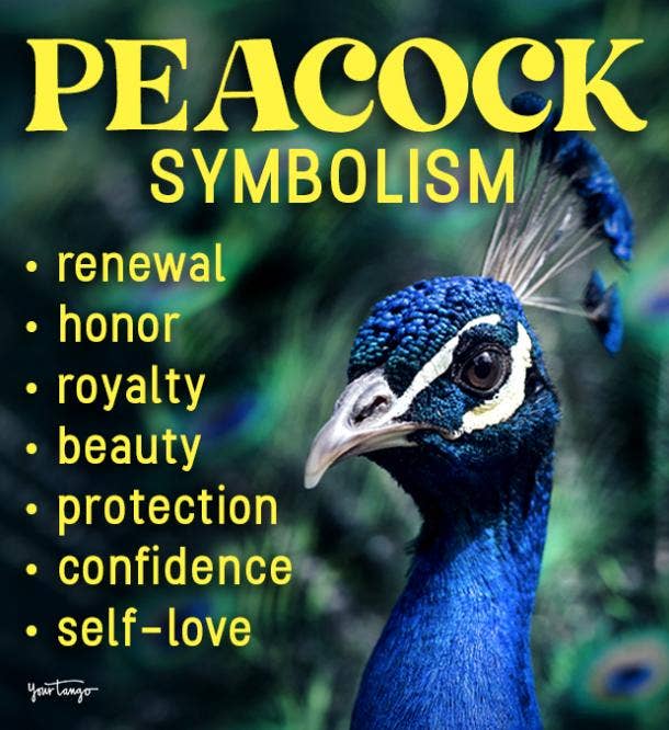 peacock symbolism