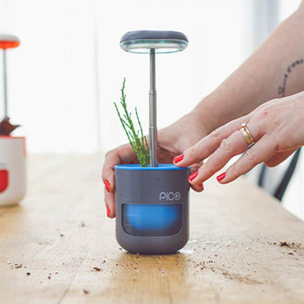 pico indoor smart planter
