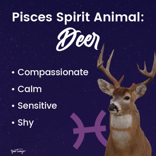pisces spirit animal deer