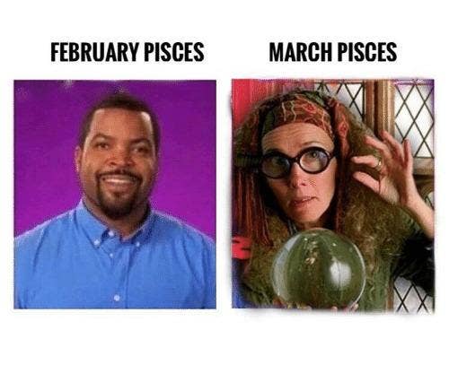 Best Pisces Memes