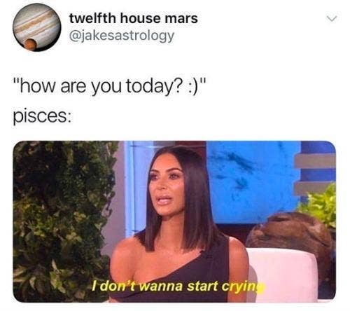 Best Pisces Memes