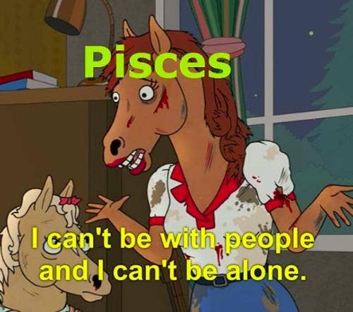 Best Pisces Memes