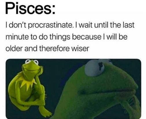 Best Pisces Memes