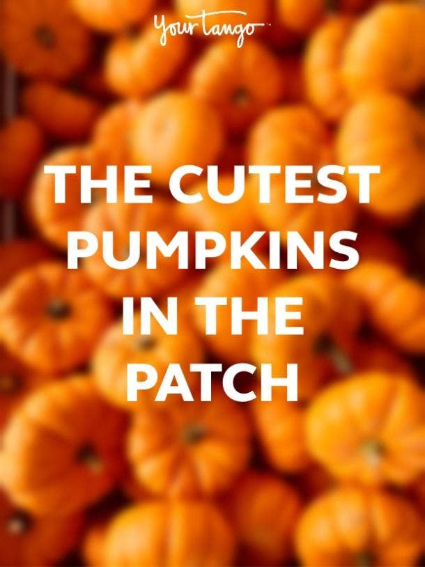 pumpkin quotes