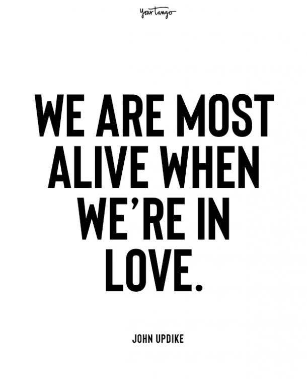 john updike beginning love quotes