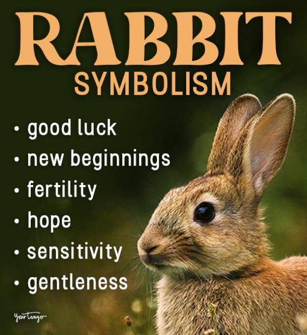 Rabbit Symbolism & Spiritual Meanings Of Rabbit Spirit Animal | YourTango