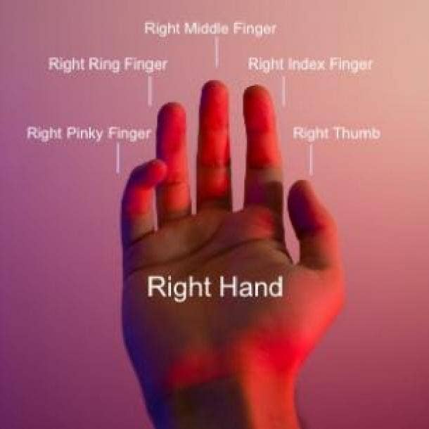 right hand finger diagram