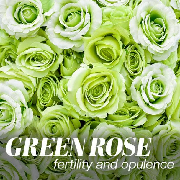green rose color meaning