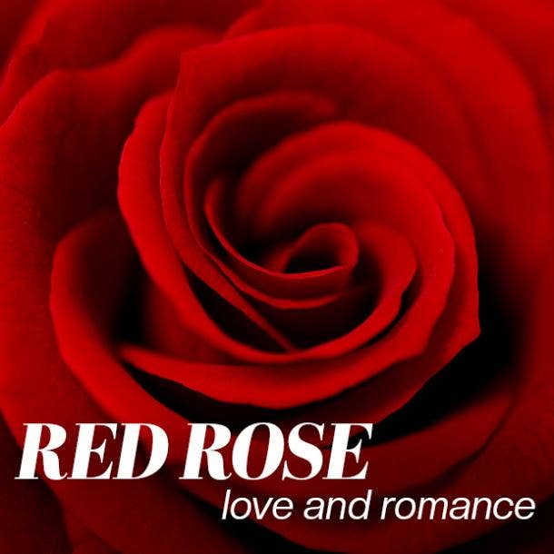 red rose color meaning