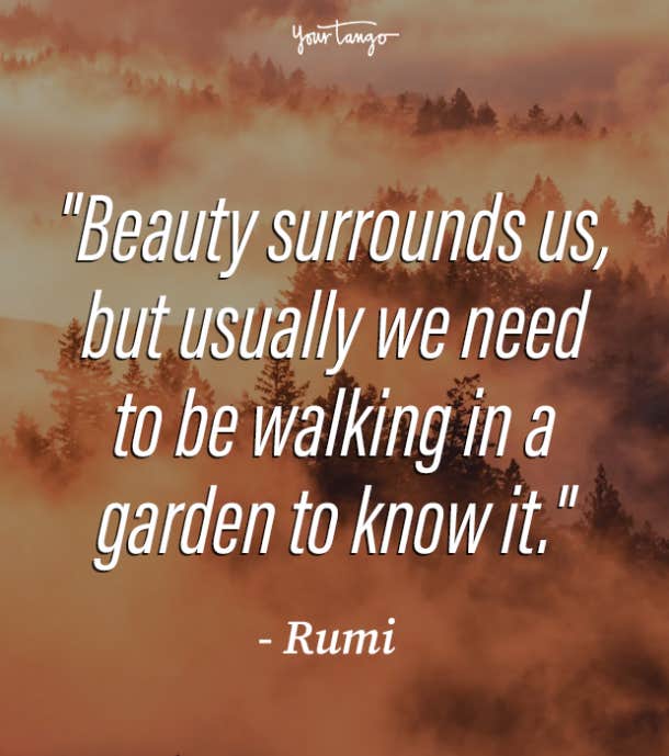 rumi quotes