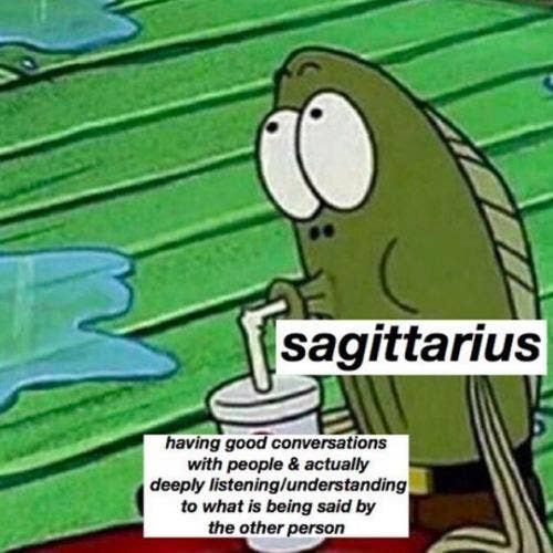 Best Sagittarius Memes