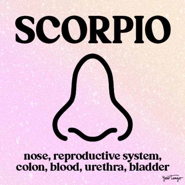 scorpio ruling body parts