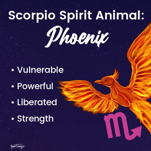 scorpio spirit animal phoenix