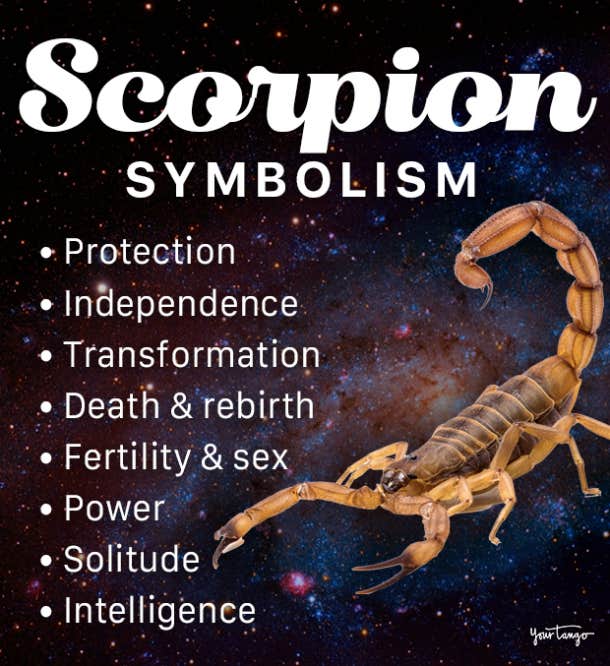 scorpion symbolism