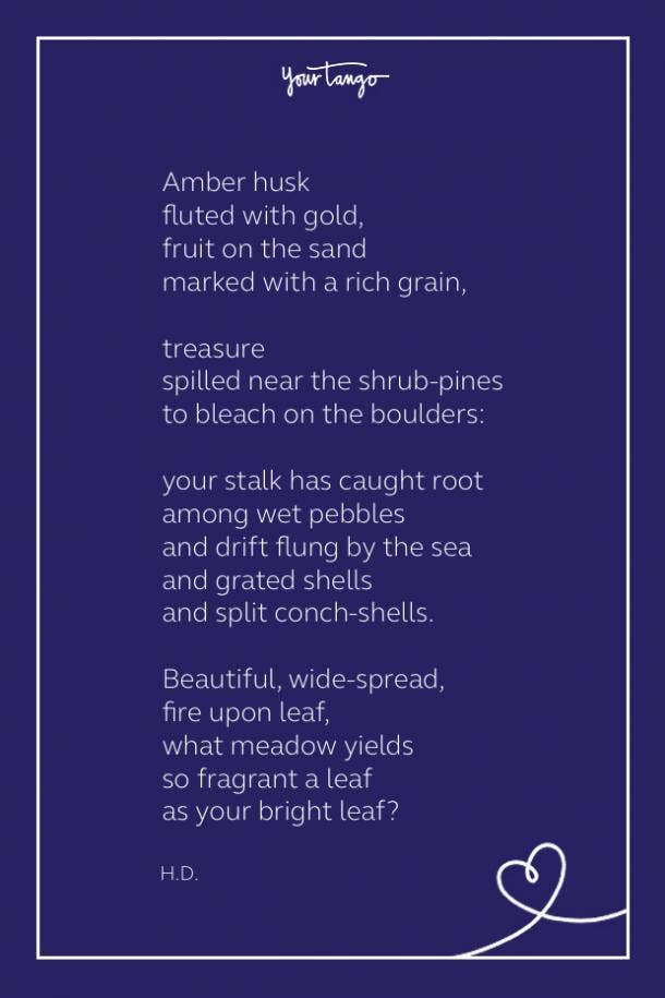 Sexy poem sea poppies by hd