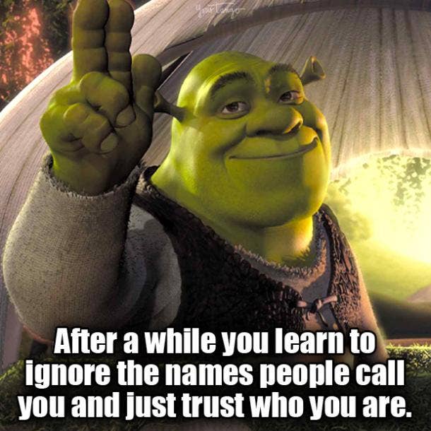 130 Shrek ideas  shrek, good animated movies, shrek quotes