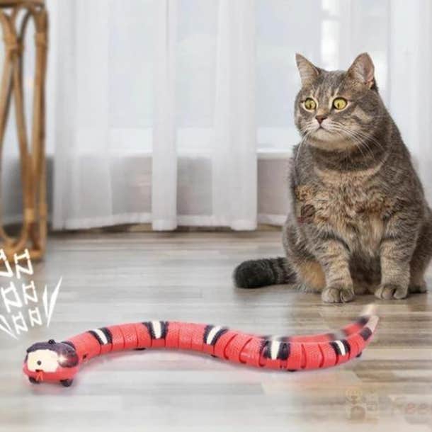sneaky snake Cat Toys