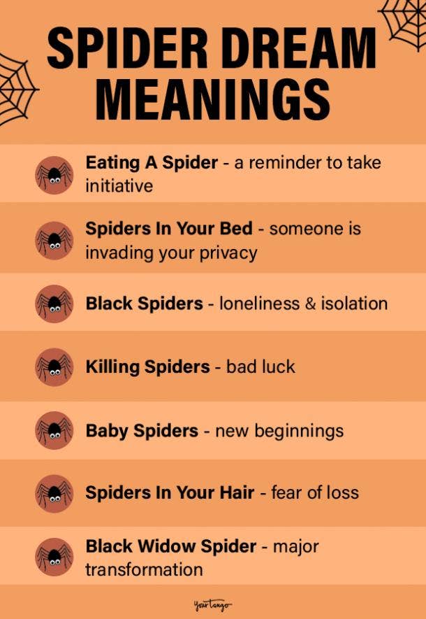 spider dream meaning
