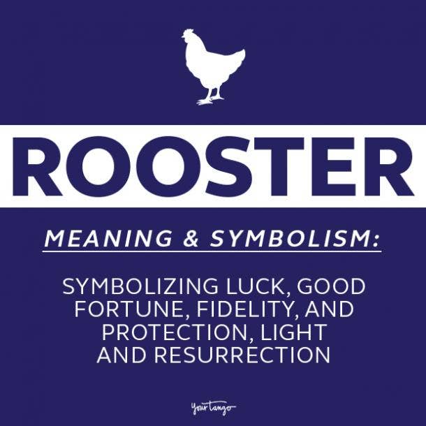Spiritual Meaning And Symbolism Of A Rooster | Yourtango