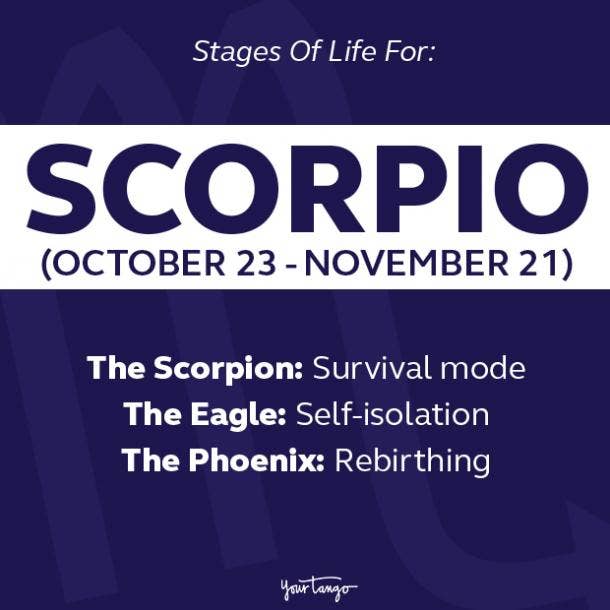 3 stages of scorpio
