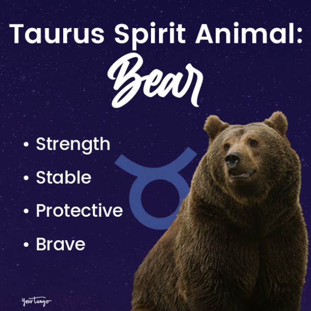 taurus spirit animal bear