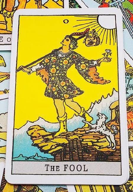 the fool tarot card