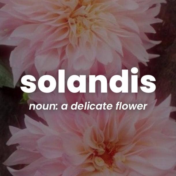 solandis rare words with beautiful meanings