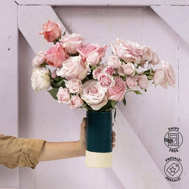 valentine day gifts for girlfriend eco-friendly flowers