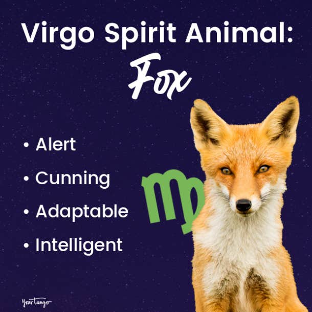 virgo spirit animal fox