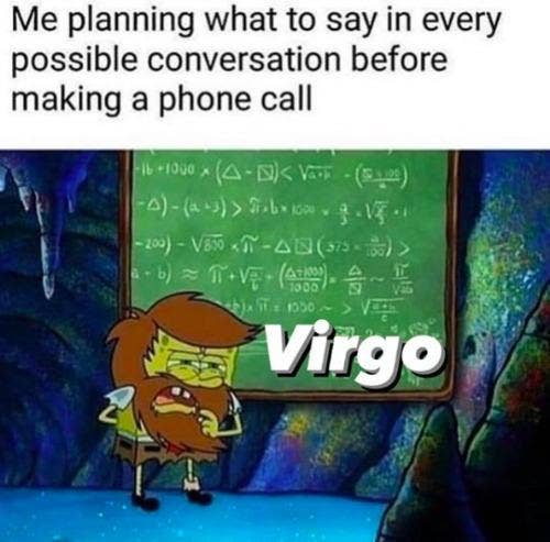 Best Virgo Memes
