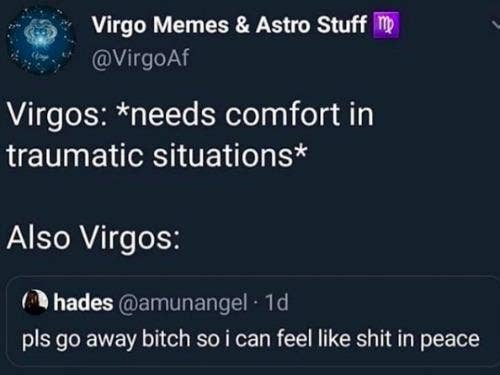 Best Virgo Memes