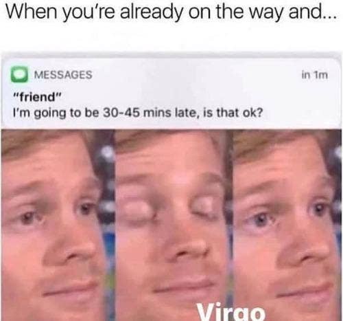 Best Virgo Memes