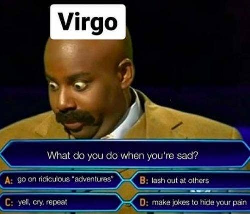 Best Virgo Memes