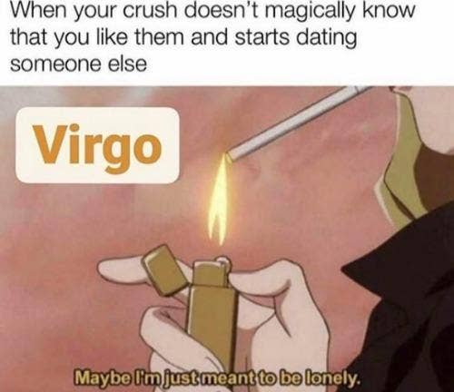 Best Virgo Memes