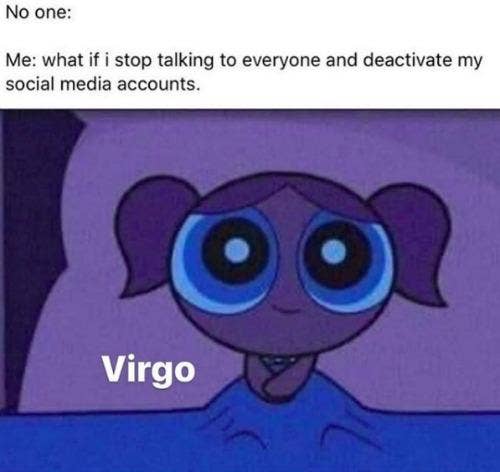 Best Virgo Memes