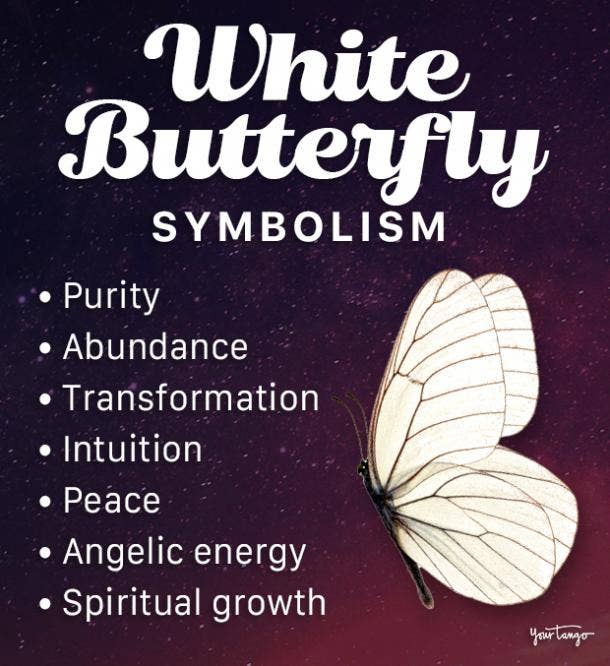 White Butterfly Meaning Symbolism - 90