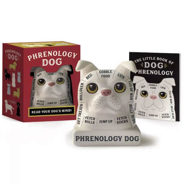 white elephant gifts under 10 phrenology dog