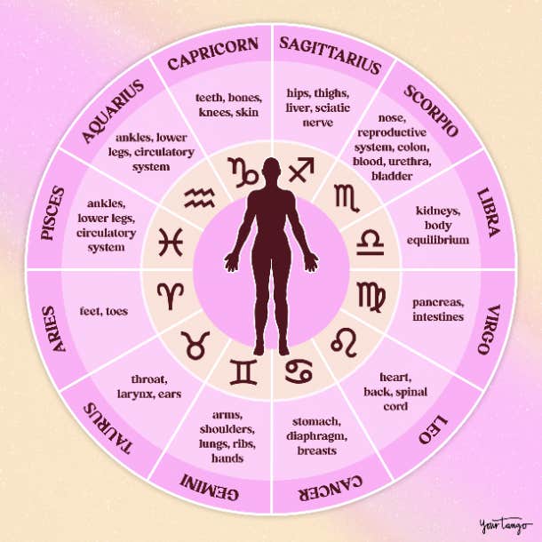 Zodiac Body Parts Ruled By Each Sign, According To Astrology