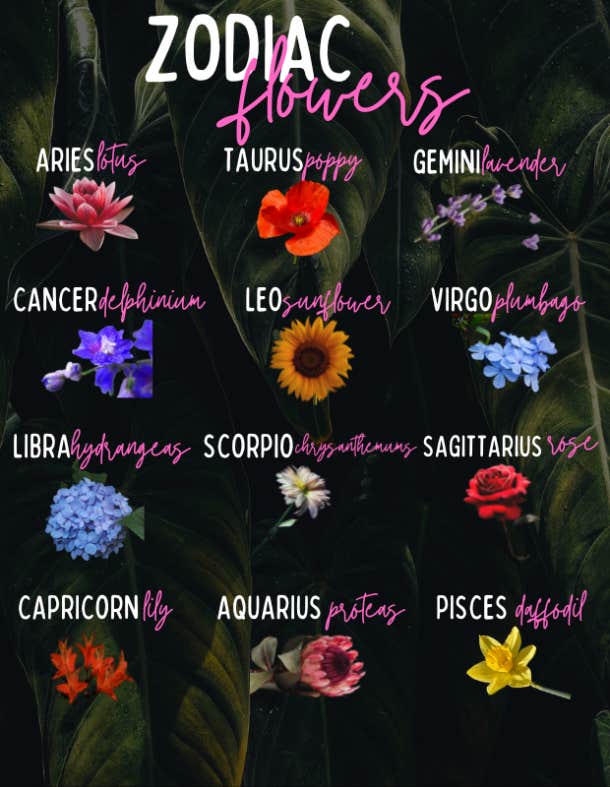 zodiac flowers chart