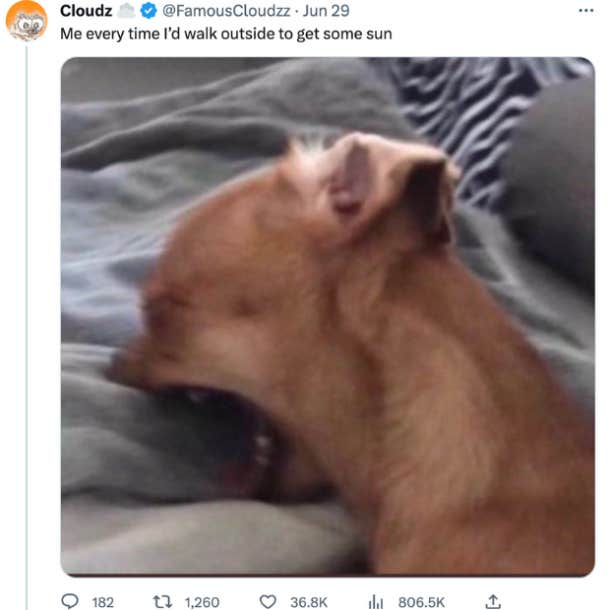 meme about woman burying her father in her backyard