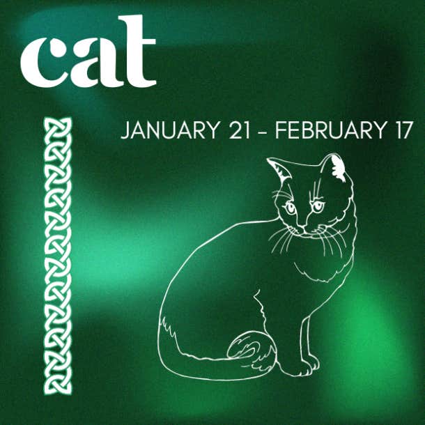 celtic animal zodiac sign cat
