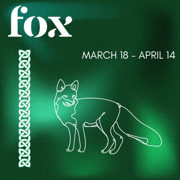 celtic animal zodiac sign fox