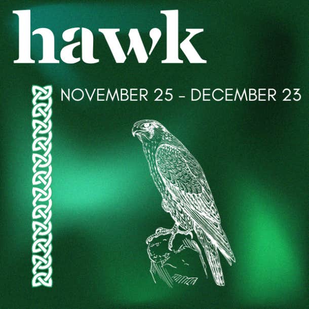 celtic animal zodiac sign hawk